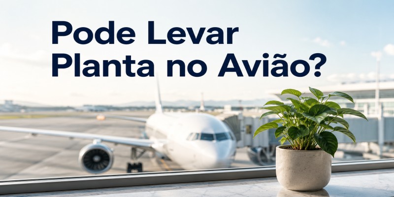 Pode Levar Planta no Avião? Como Evitar Problemas no Aeroporto